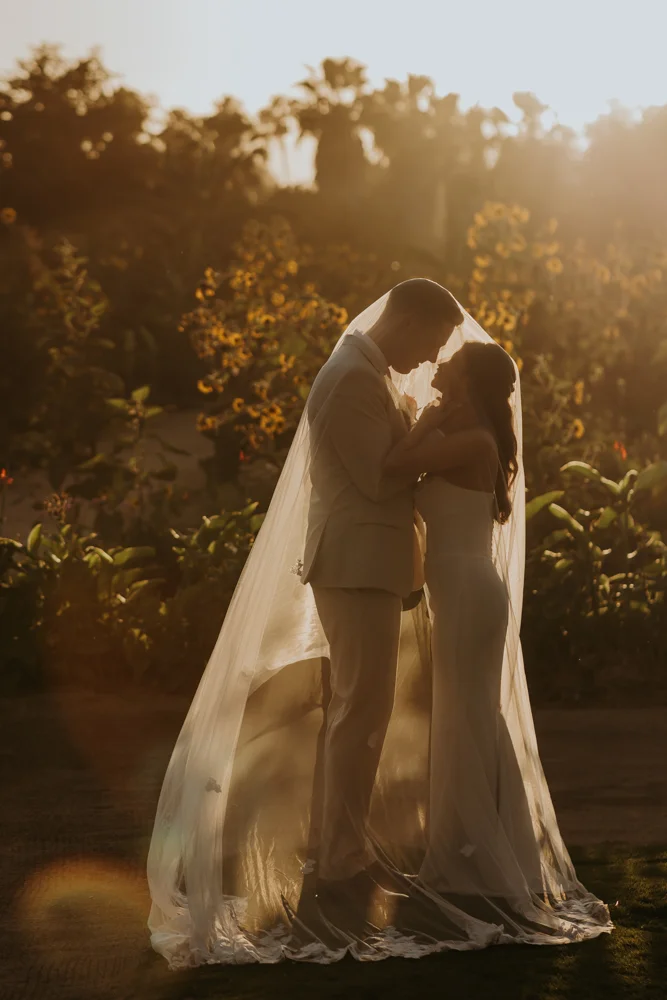 Flora Farms Los Cabos Bride and Groom kissing after destination wedding ceremony